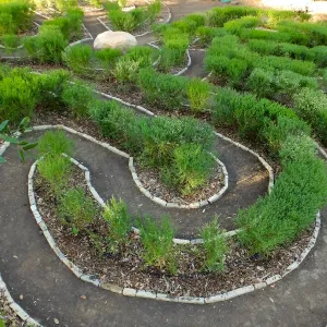 Centennial Maze