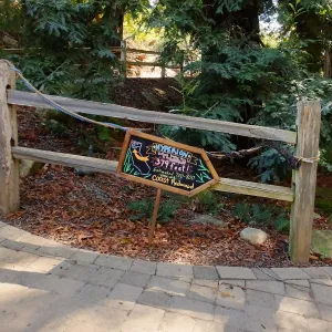 Dormant Dreams Redwood Yarn Walk Signage