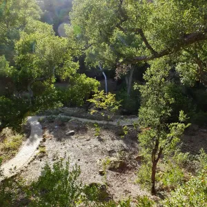 Wooded Dell, newly planted trees, view from picnic area