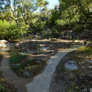 Wooded Dell, newly planted trees
