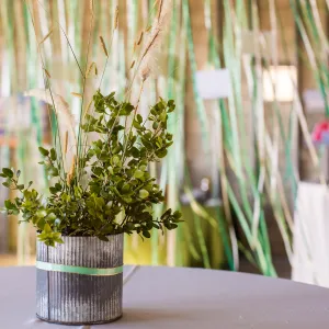 Pritzlaff Conservation Center, Wishes in the Walls event