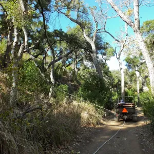 Clearing a broken tree branch