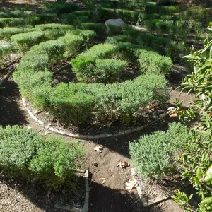 Centennial Maze