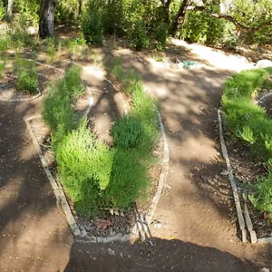 Centennial Maze panorama