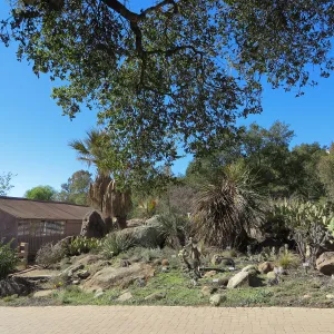 Desert Section