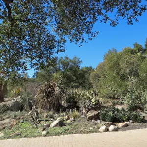 Desert Section