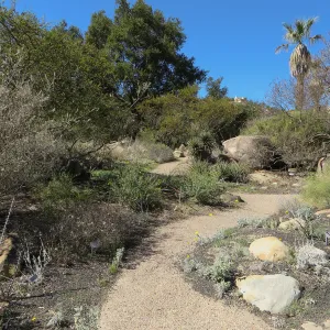 Desert Section