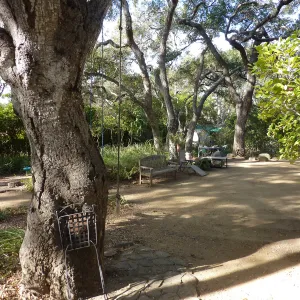 Naiman Garden, 2014 Native Garden Tour