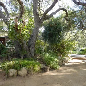 Naiman Garden, 2014 Native Garden Tour