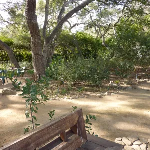 Naiman Garden, 2014 Native Garden Tour