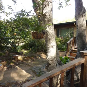 Naiman Garden, 2014 Native Garden Tour