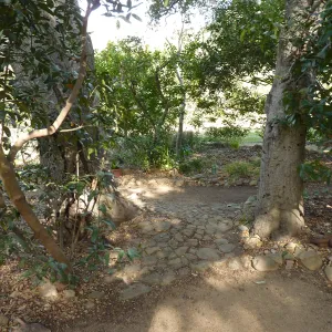 Naiman Garden, 2014 Native Garden Tour