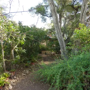 Naiman Garden, 2014 Native Garden Tour