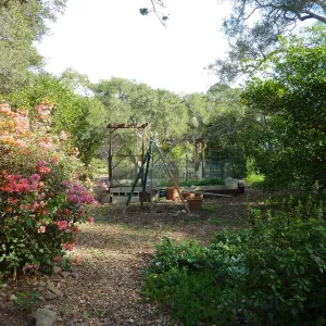 Naiman Garden, 2014 Native Garden Tour