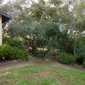 Naiman Garden, 2014 Native Garden Tour