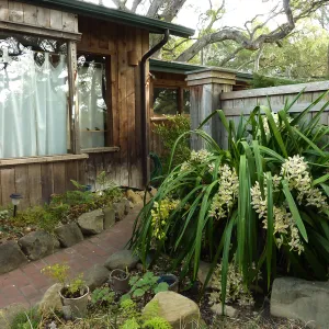 Naiman Garden, 2014 Native Garden Tour