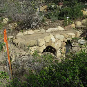 Sewer spur in Arroyo