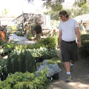 2009 Fall Plant Sale set-up, Bruce Reed