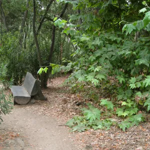 Ford Bench