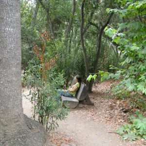 Ford Bench