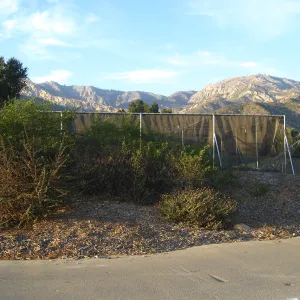 East side driveway, looking north up to the Garden Growers Canyard