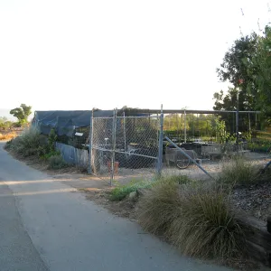 East side diveway, looking southwest to the Garden Growers Canyard