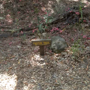 Directional signage in Canyon