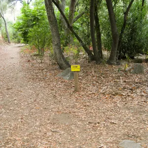 Directional signage in lower Canyon