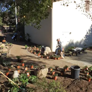 Home Demonstration Garden Renovation, view 31, looking towards southwest corner of Herbarium, first day of replanting work