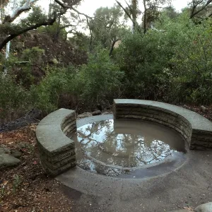Water in Elizabeth Cargill Hall Spiral Bench after rainfall