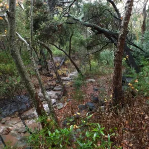 Mission Creek just above lower crossing after rainfall