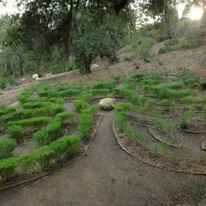 Centennial Maze
