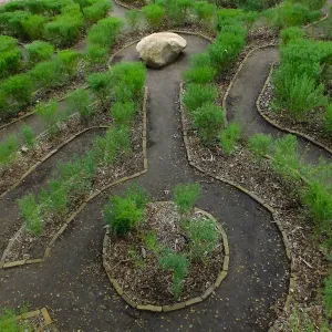 Centennial Maze