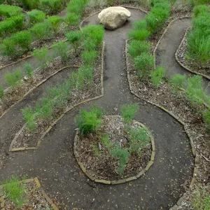Centennial Maze