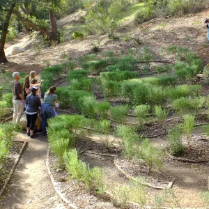 Children in the Centennial Maze