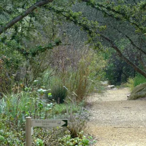 Misty morning in the Arroyo Section