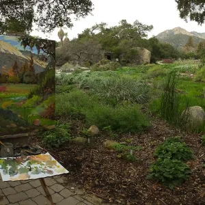 Plein Air painting of Meadow by Chris Potter