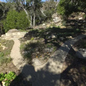 Wooded Dell