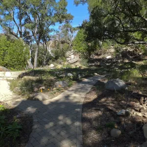 Wooded Dell