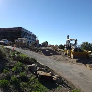Future location of two Island Oaks, flanking the entrance to the new Island Section at the Pritzlaff Conservation Center