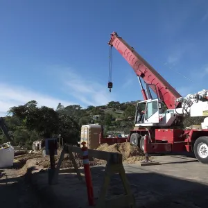 Installation of Island Oaks, flanking the entrance to the new Island Section at the Pritzlaff Conservation Center