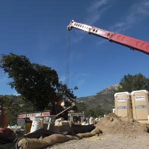 Installation of Island Oaks, flanking the entrance to the new Island Section at the Pritzlaff Conservation Center