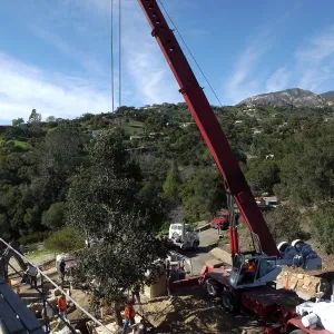Installation of Island Oaks, flanking the entrance to the new Island Section at the Pritzlaff Conservation Center