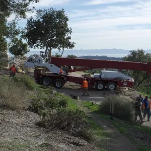Installation of Island Oaks, flanking the entrance to the new Island Section at the Pritzlaff Conservation Center