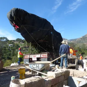 Installation of Island Oaks, flanking the entrance to the new Island Section at the Pritzlaff Conservation Center