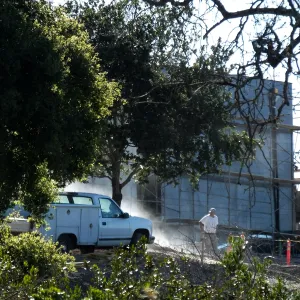 After installation of Island Oaks, flanking the entrance to the new Island Section at the Pritzlaff Conservation Center