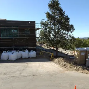 After installation of Island Oaks, flanking the entrance to the new Island Section at the Pritzlaff Conservation Center