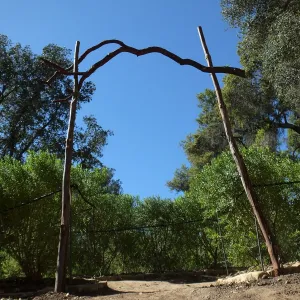 Entry Arch, Centennial Maze