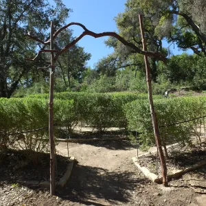 Entry Arch, Centennial Maze