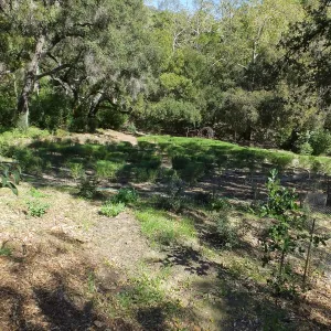 Centennial Maze